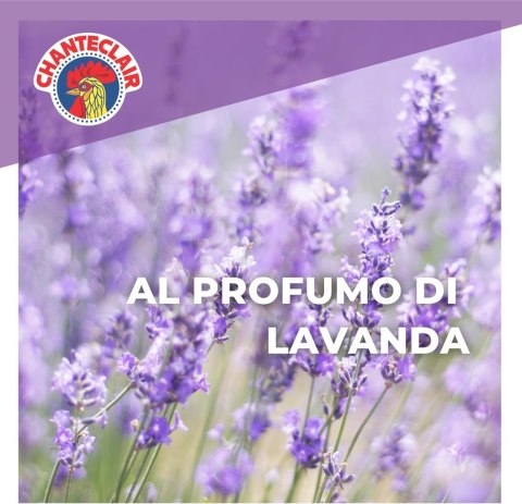 Chanteclair Sagrassatore Odtłuszczacz Lavanda 600 ml REAL CHIMICA SRL Chanteclair Sagrassatore Odtłuszczacz Lavanda 600 ml REAL CHIMICA SRL