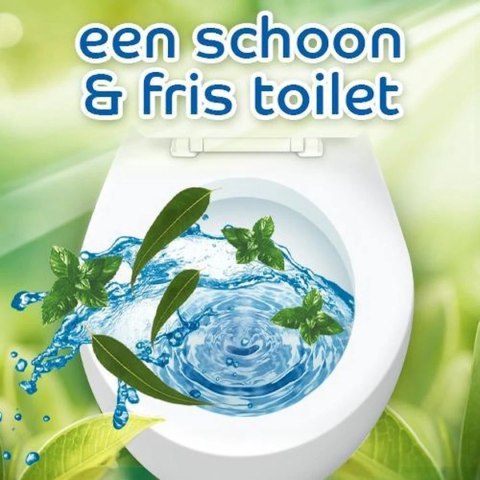 Bref Pro Nature Mint & Eucalyptus Żel WC 700 ml Henkel Bref Pro Nature Mint & Eucalyptus Żel WC 700 ml Henkel