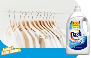 Dash Alpen Frische Żel do Prania Tkanin Białych 100 prań DALLI-WERKE GmbH & Co. KG