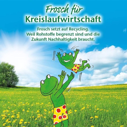 Frosch WC-Reiniger Zitrone Żel WC 750 ml Werner & Mertz GmbH Frosch WC-Reiniger Zitrone Żel WC 750 ml Werner & Mertz GmbH