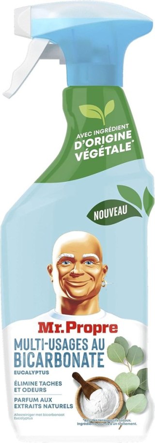 Mr. Propre Bicarbonate Spray Wielofunkcyjny z Sodą 500 ml Procter & Gamble