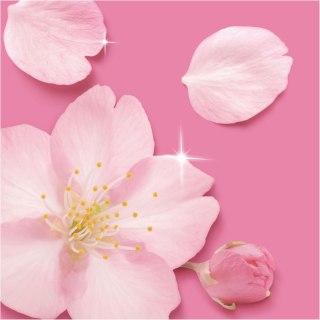 Mr.Propre Blossom Spray Multifunkcyjny 500 ml Procter & Gamble