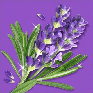 Mr.Propre Lavendel & Rozemarijn Spray Multifunkcyjny 500 ml 800ml Procter & Gamble
