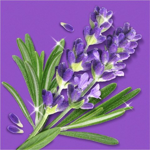 Mr.Propre Lavendel & Rozemarijn Spray Multifunkcyjny 500 ml 800ml Procter & Gamble Mr.Propre Lavendel & Rozemarijn Spray Multifunkcyjny 500 ml 800ml Procter & Gamble