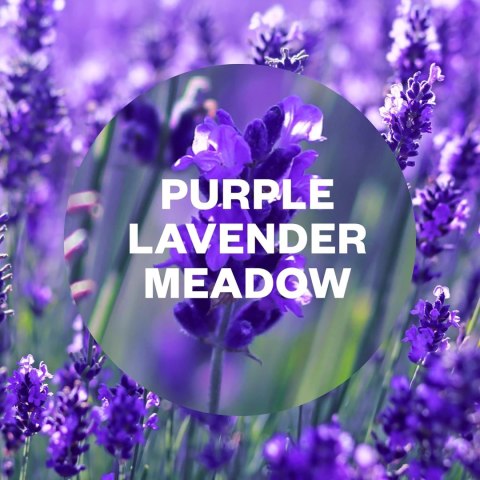 Air Wick Freshmatic Purple Lavender Meadow Wkład 250 ml Air Wick Freshmatic Purple Lavender Meadow Wkład 250 ml