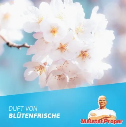 Meister Proper Badreiniger Blutenfrische Spray do Łazienki 800 ml Procter & Gamble Meister Proper Badreiniger Blutenfrische Spray do Łazienki 800 ml Procter & Gamble
