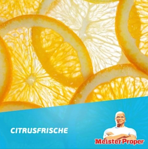 Meister Proper Citrus Uniwersalny Środek Czyszczący 1 l Procter & Gamble Meister Proper Citrus Uniwersalny Środek Czyszczący 1 l Procter & Gamble