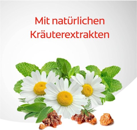 Colgate Dentagard Ziołowa Pasta do Zębów 75 ml CP GABA GmbH Colgate Dentagard Ziołowa Pasta do Zębów 75 ml CP GABA GmbH