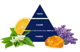 Felce Azzurra Active Color Płyn do Prania 32 prania