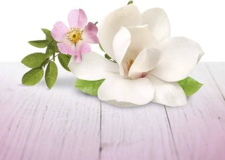 Air Wick Blutenfrische Fleurs Odświeżacz w Żelu 150 g Reckitt Benckiser