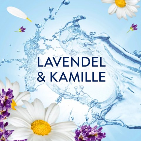 Lenor Provence Płyn do Płukania Tkanin 756 ml DE Procter & Gamble