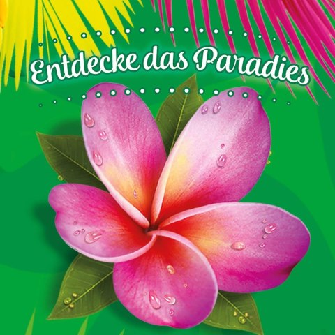 Softlan Paradise Collection Płyn do Płukania 650 ml